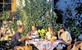 Vulkaaneifel 3 of 4 dagen in hotel*** incl. 2x diner va. € 159 pp