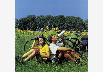Vulkaaneifel 3 of 4 dagen in hotel*** incl. 2x diner va. € 159 pp