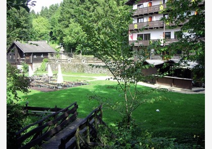 Vulkaaneifel 3 of 4 dagen in hotel*** incl. 2x diner va. € 159 pp
