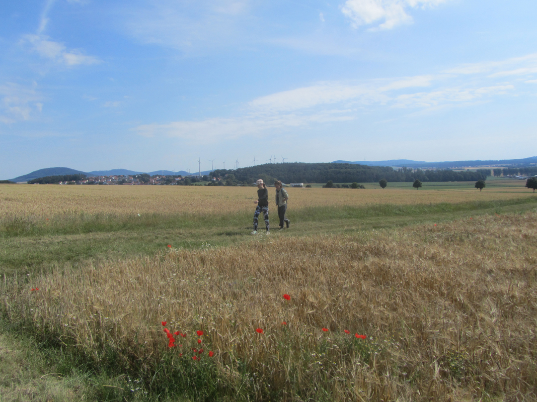 Glooiend landschap met basaltheuvels